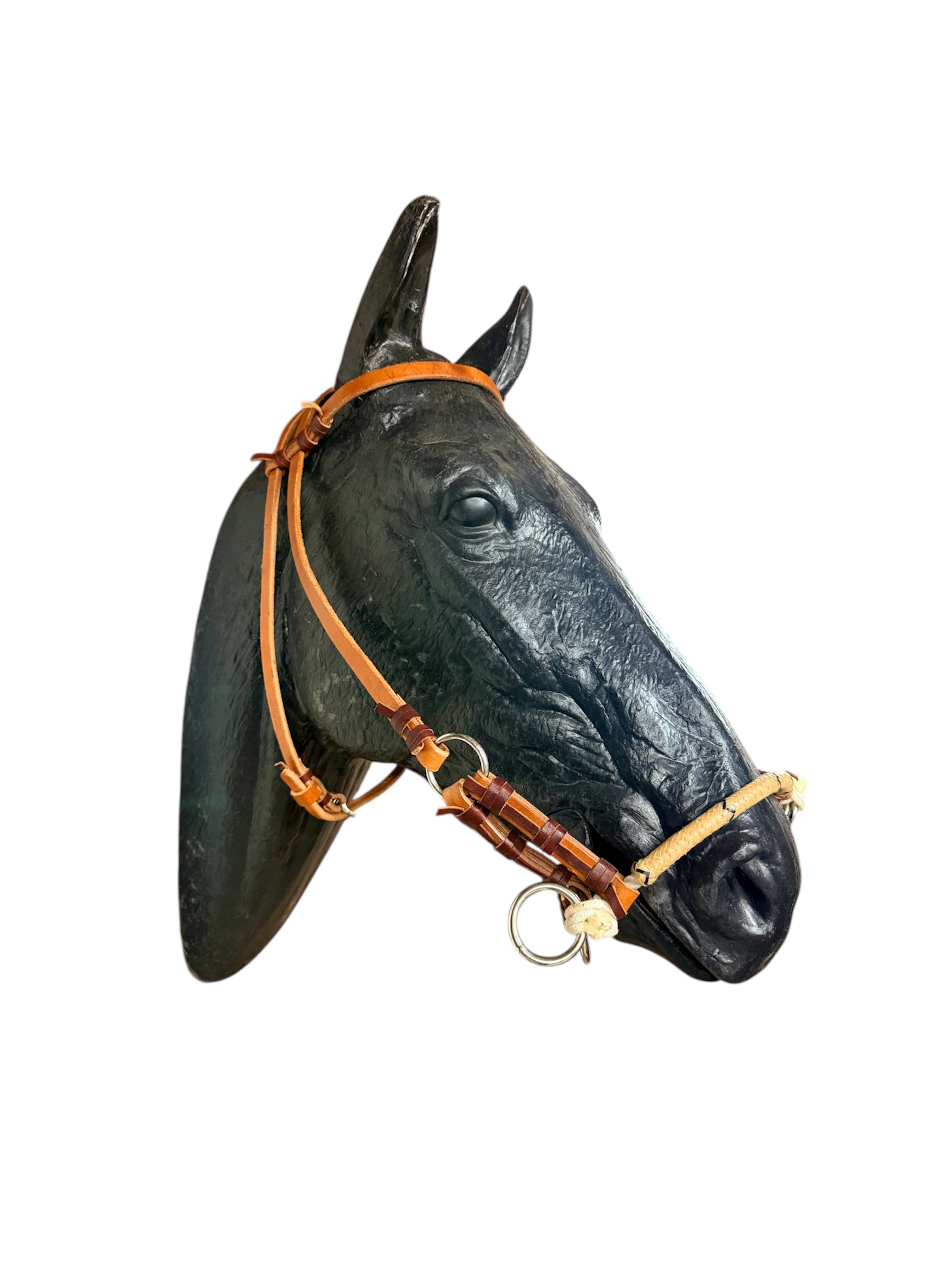 Leather Sidepull with Rawhide Braided Noseband