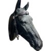 Circle Y Siren Song Browband Headstall