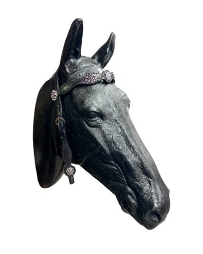 Circle Y Siren Song Browband Headstall