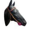 Circle Y Malibu Browband Headstall