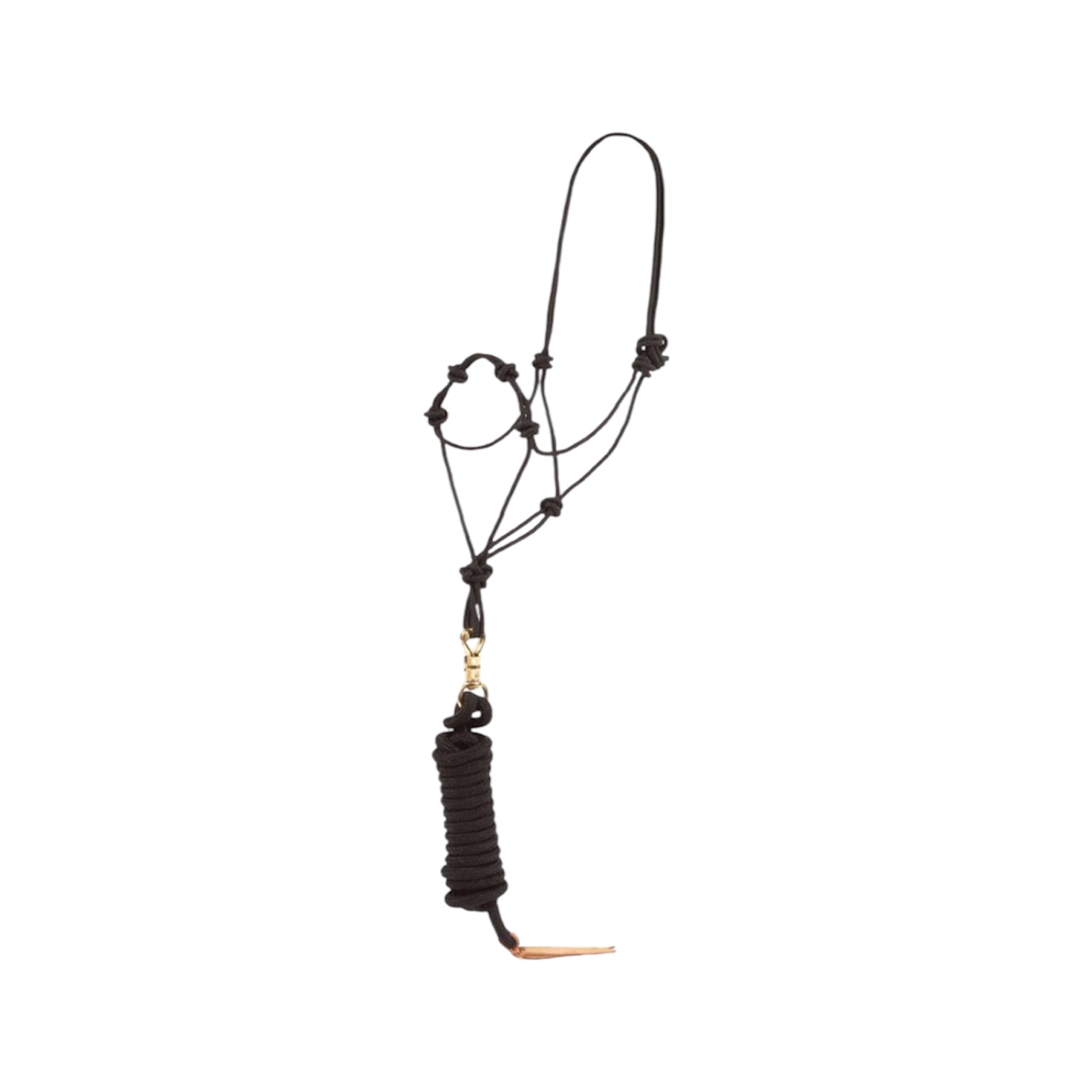 Knotted Training Halter with Horsemanship Lead