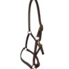 Heavy Oiled Horse Size Leather Track Halter