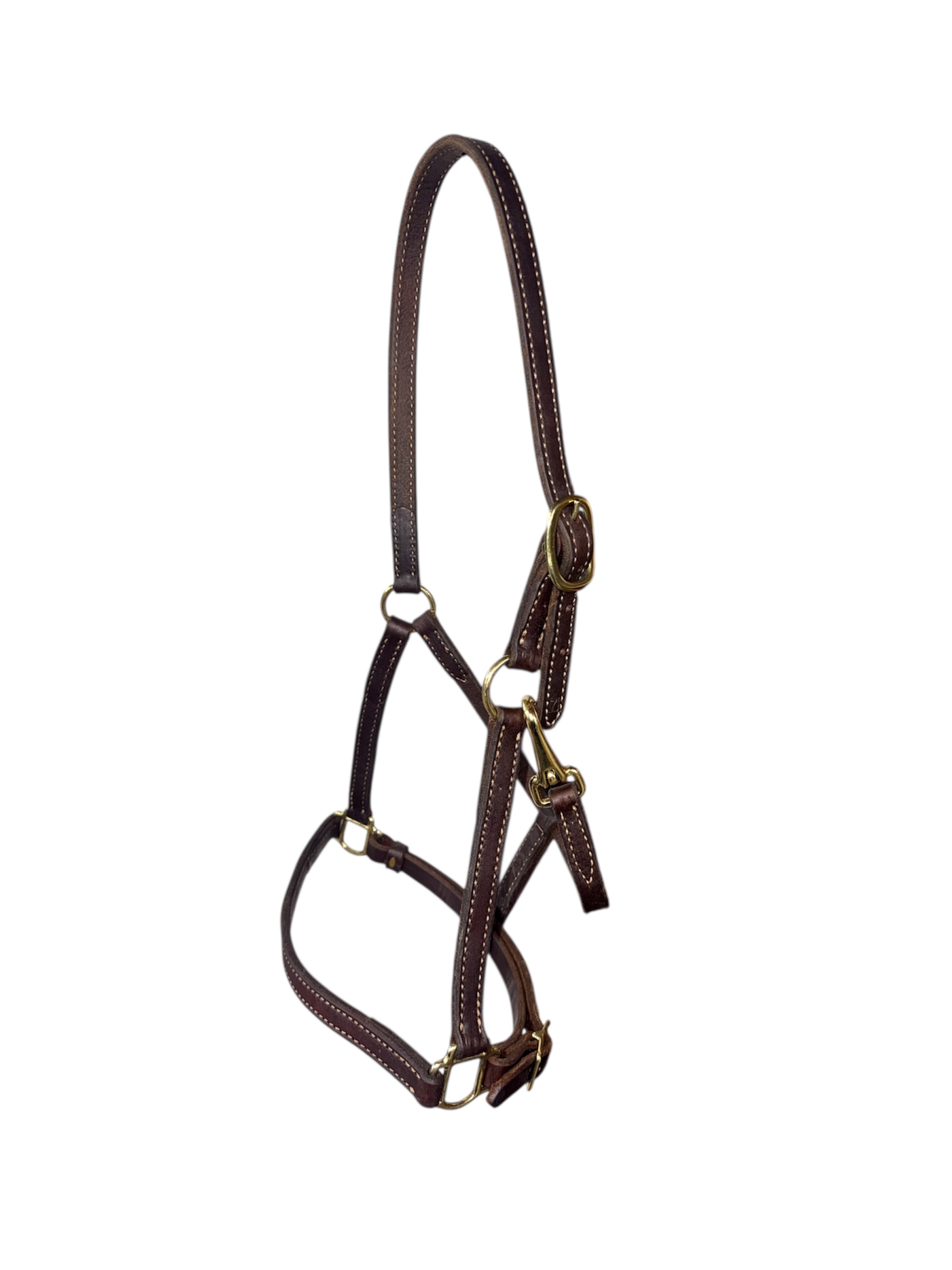 Heavy Oiled Horse Size Leather Track Halter