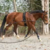 Horze Lunging Aid