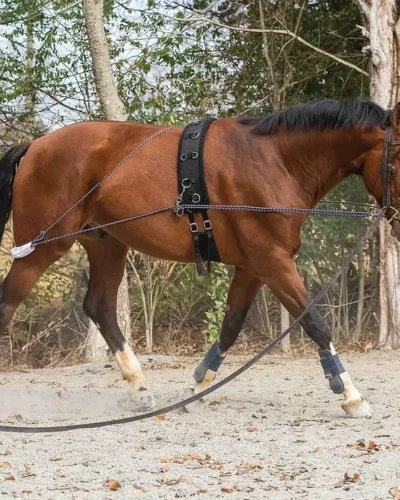 Horze Lunging Aid