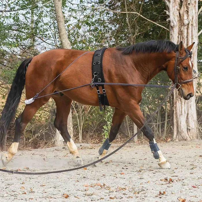 Horze Lunging Aid