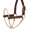 Kalley Krickenberg Foal Horseman’s Halter