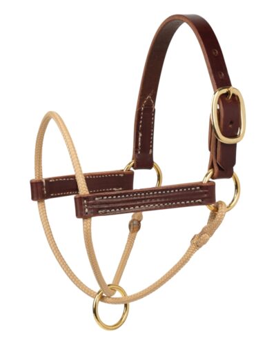 Kalley Krickenberg Foal Horseman’s Halter