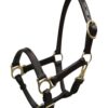 Weanling/Small Pony Size Dark Oiled Leather Halter w/ Brass Hardware