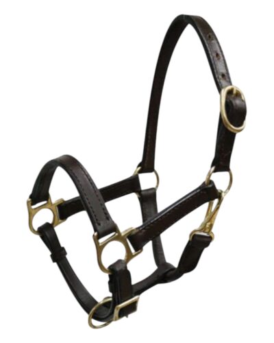 Weanling/Small Pony Size Dark Oiled Leather Halter w/ Brass Hardware