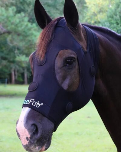 Rejuvenate SmartMask