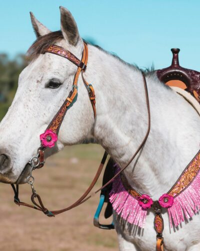Alternative view of Circle Y Malibu 1-Ear Headstall