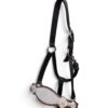 Rockn’ Wilsons Silver Dazzle Bronc Halter