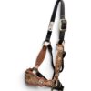 Rockn' Wilsons Spotted Laredo Bronc Halter