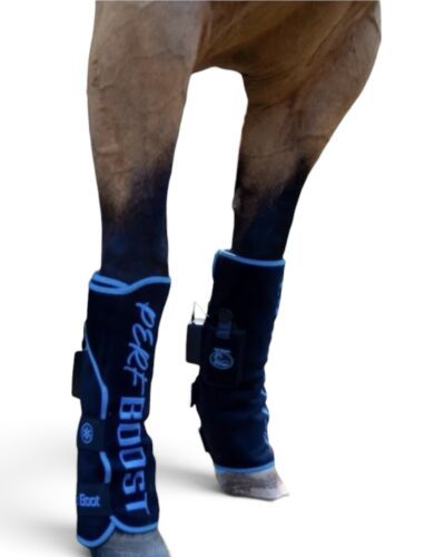 Alternative view of Schultz Equine Perf Boost Cold Pressed Ice Boots