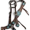 Rockn’ Wilsons Copper Frosted Brown Gator w/ Turquoise