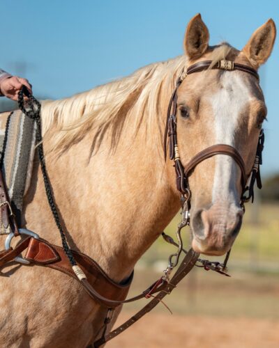 Adjustable Flat Braid Roping Rein With Rawhide Accents - Image 3