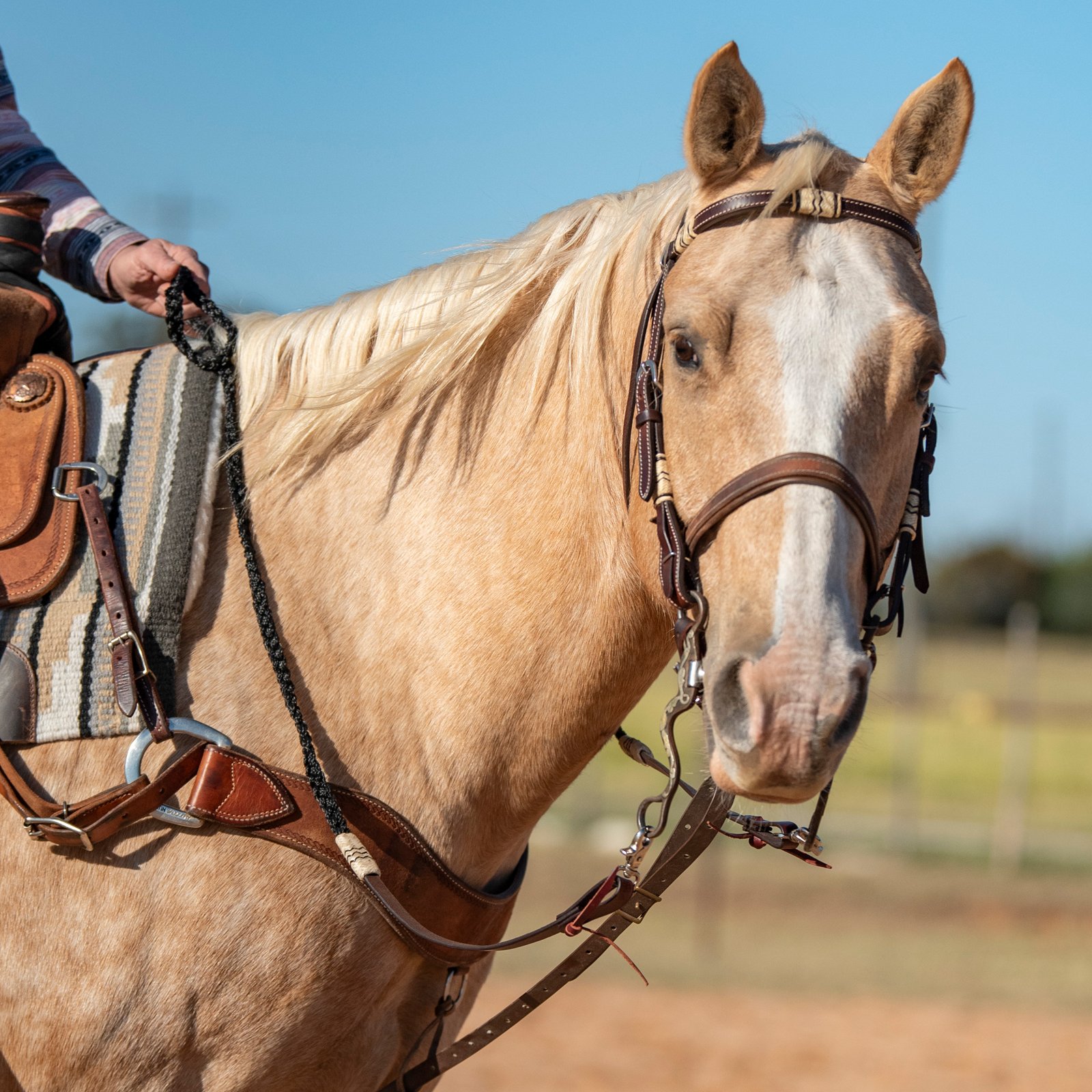Adjustable Flat Braid Roping Rein With Rawhide Accents - Image 3