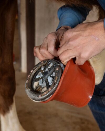 Classic Equine ShoeGuard 360 Protective Rubber Bell Boot - Image 5