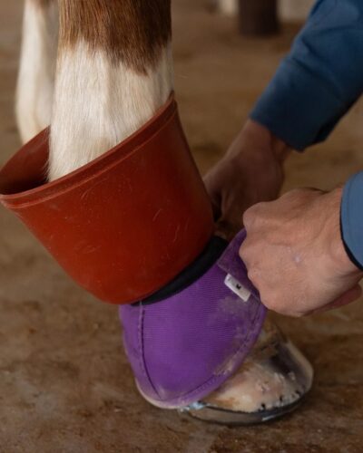 Classic Equine ShoeGuard 360 Protective Rubber Bell Boot - Image 3