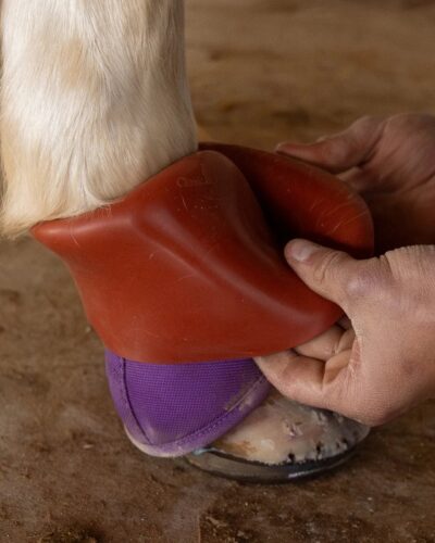 Classic Equine ShoeGuard 360 Protective Rubber Bell Boot - Image 4